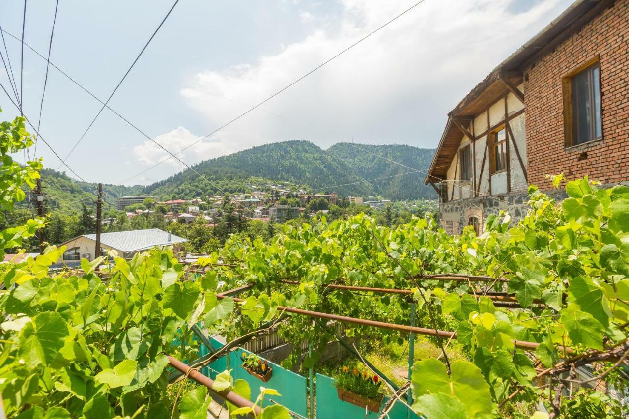 Mereti Hotel Bordzjomi Buitenkant foto